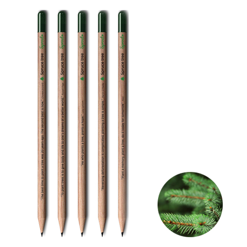 Sprout-Bleistift mit Baumsamen